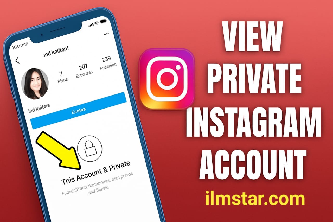 Instagram Profiles